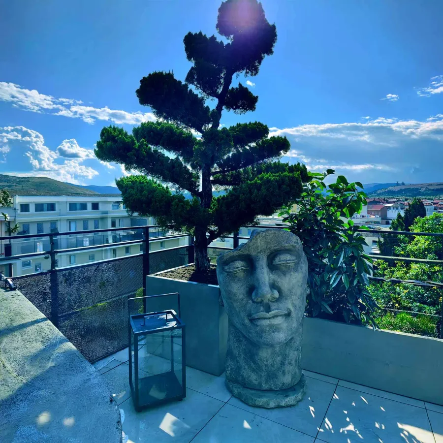 Bepflanzte Terrasse mit Formgehölz und Deko
