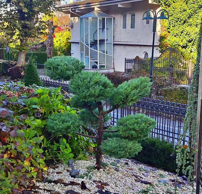 Gepflegter Garten mit Rasen und Pflanzen